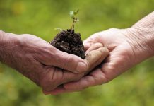 Associations et fermes pédagogiques : tous sensibles à l’ESS* ?