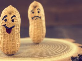 Des humeurs incorruptibles