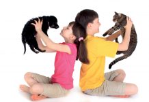 Chats & chiens : des vertus insoupçonnées