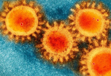 Virus tout ce qu’il y a de naturel…