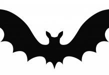 Chauves-souris, cherchez l’anagramme…