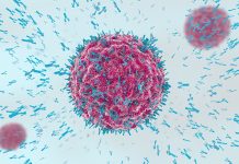Une biotech française affirme détenir une thérapie décisive (et ce n’est pas un poisson !)