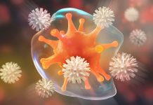 Comment fonctionne le système immunitaire