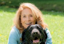 Grâce à 30 millions d’amis, voyager avec son animal n’a jamais été aussi simple !