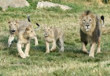 Les incontournables spots de l’été